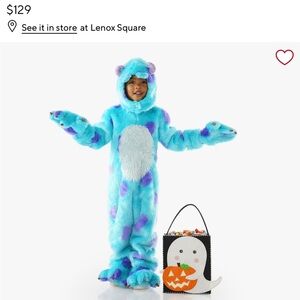 Pottery Barn Sully from Monster’s Inc Costume